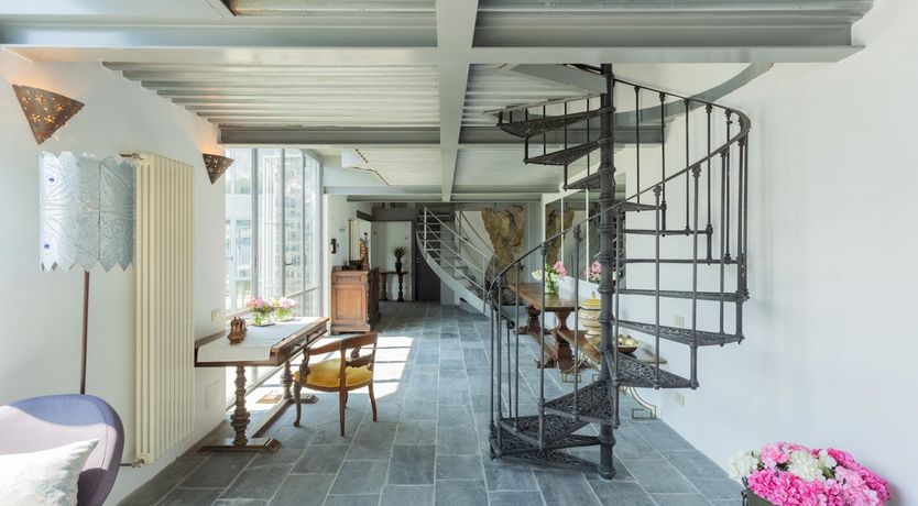 Photo of Wild Euphorbias