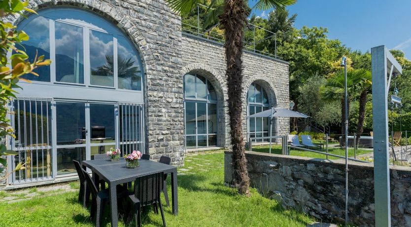 Photo of Wild Euphorbias