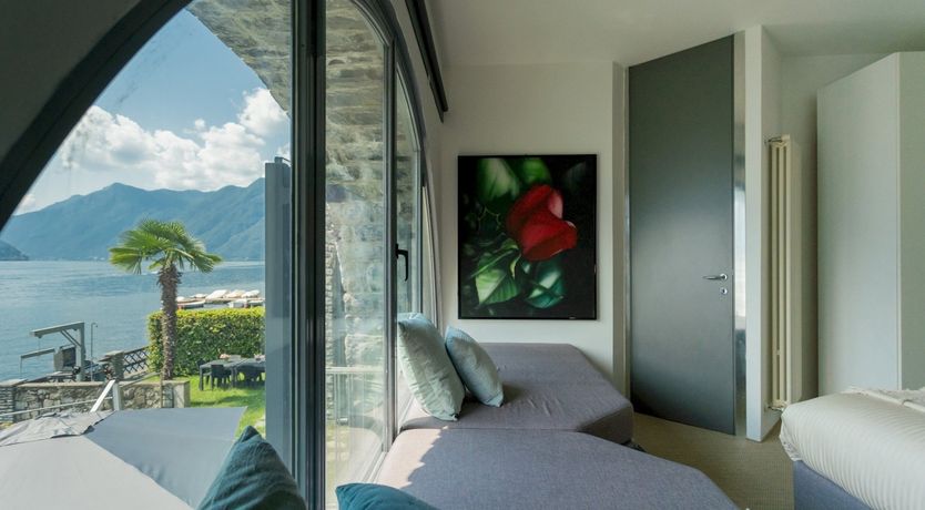 Photo of Wild Euphorbias