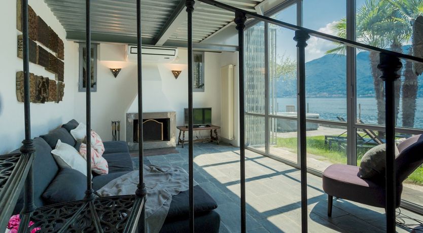 Photo of Wild Euphorbias