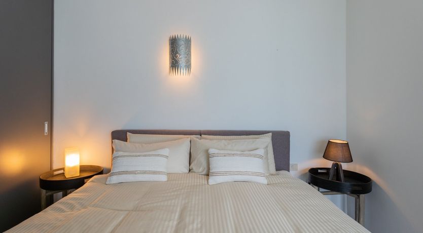 Photo of Wild Euphorbias