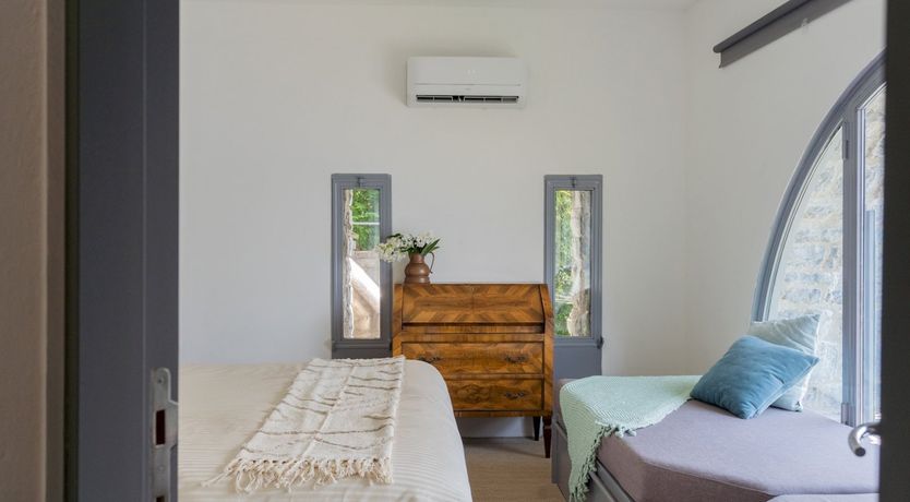 Photo of Wild Euphorbias