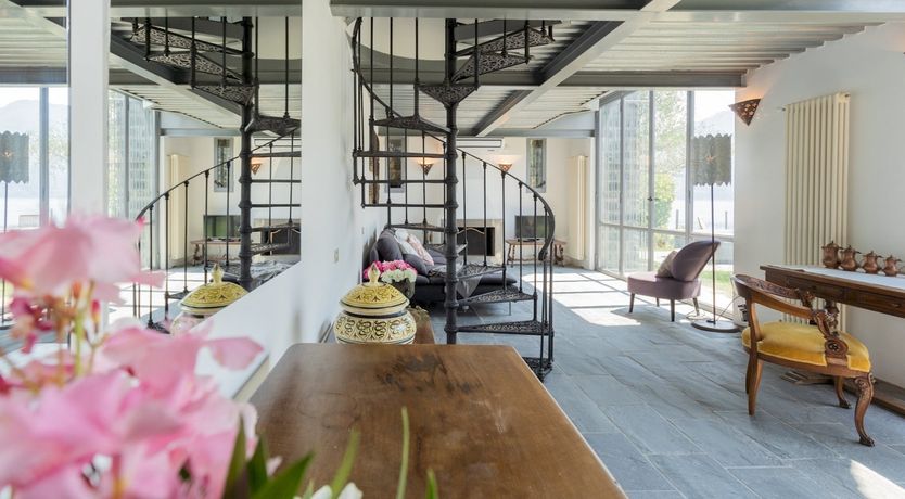 Photo of Wild Euphorbias