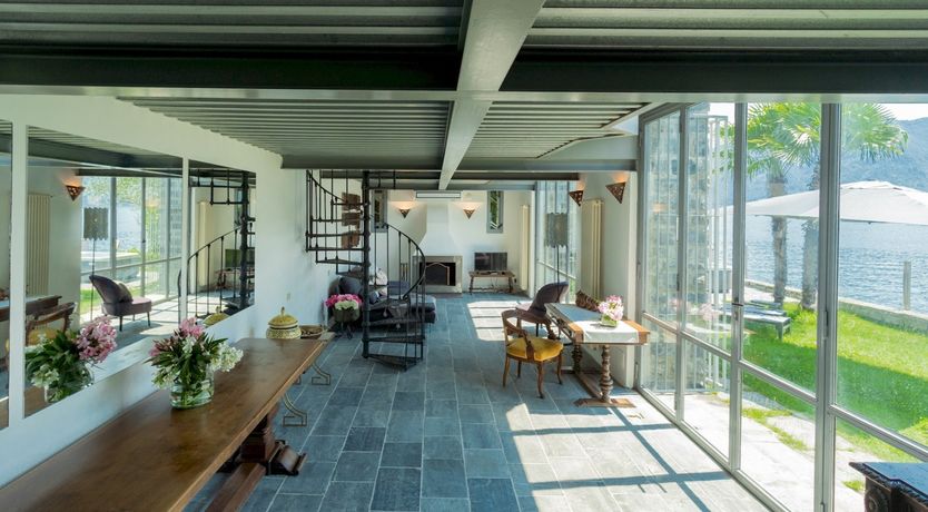 Photo of Wild Euphorbias