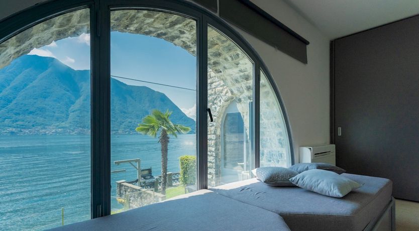 Photo of Wild Euphorbias