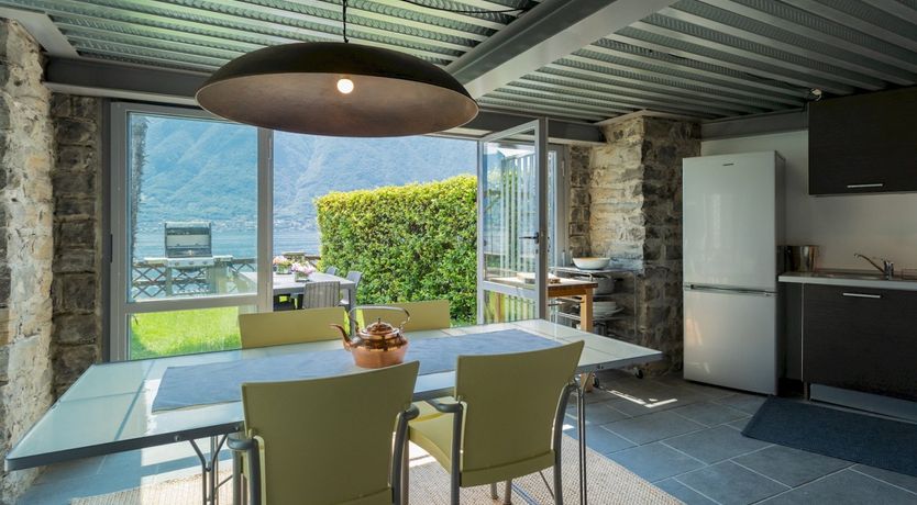 Photo of Wild Euphorbias