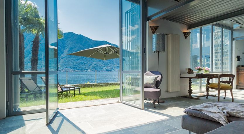 Photo of Wild Euphorbias