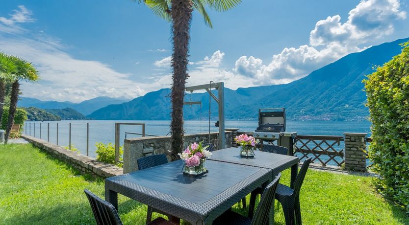 Photo of Wild Euphorbias