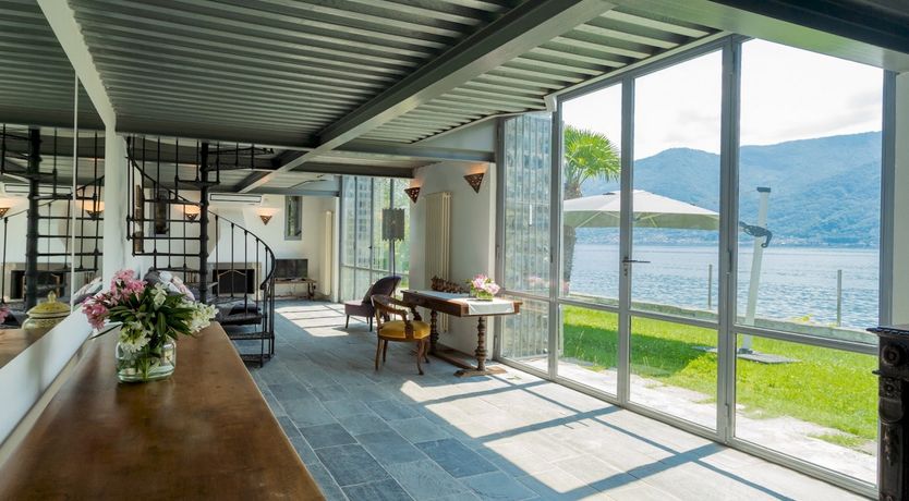 Photo of Wild Euphorbias