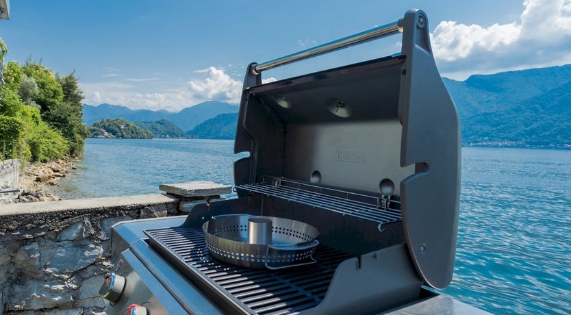 Photo of Wild Euphorbias