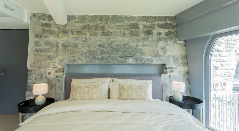 Photo of Wild Euphorbias