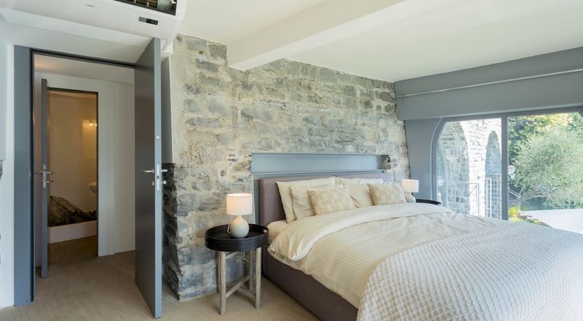 Photo of Wild Euphorbias