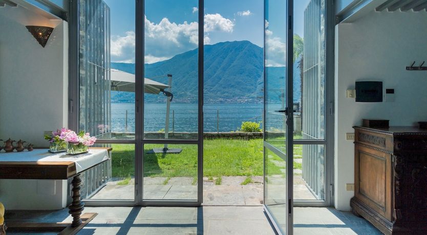 Photo of Wild Euphorbias