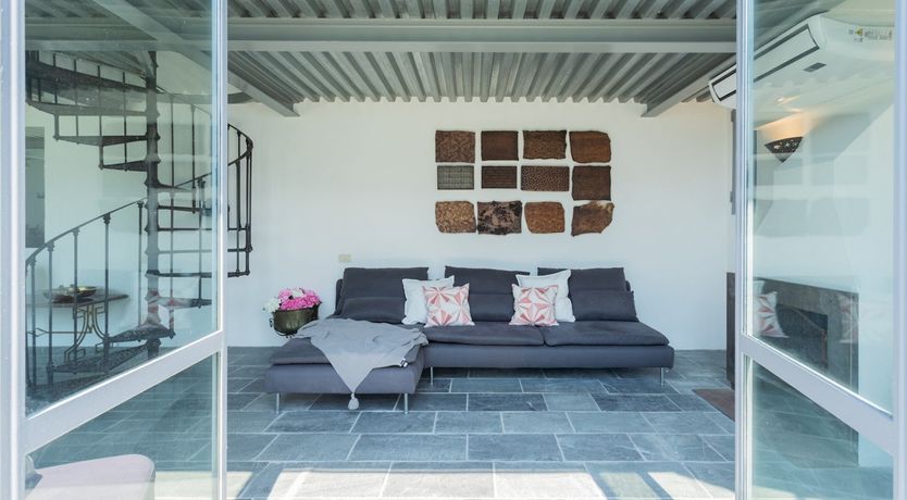 Photo of Wild Euphorbias