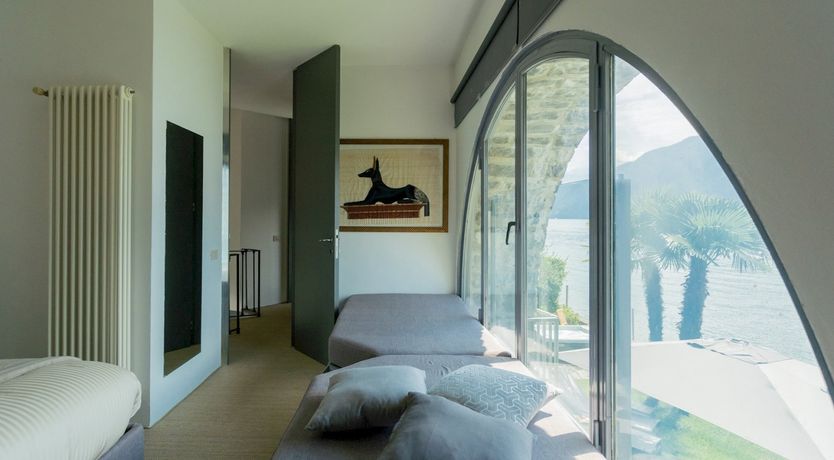 Photo of Wild Euphorbias