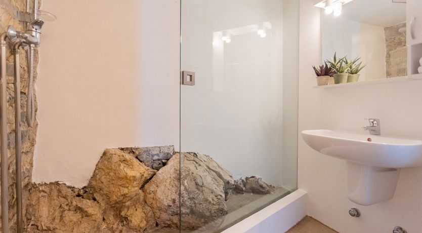 Photo of Wild Euphorbias