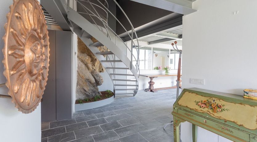 Photo of Wild Euphorbias