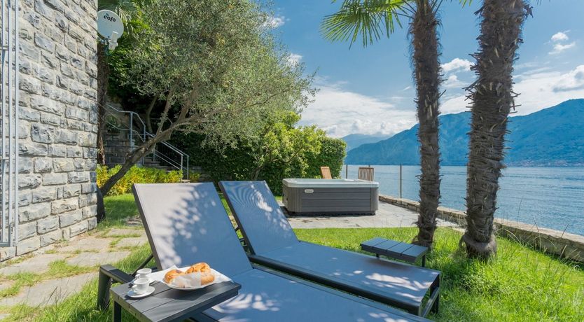 Photo of Wild Euphorbias