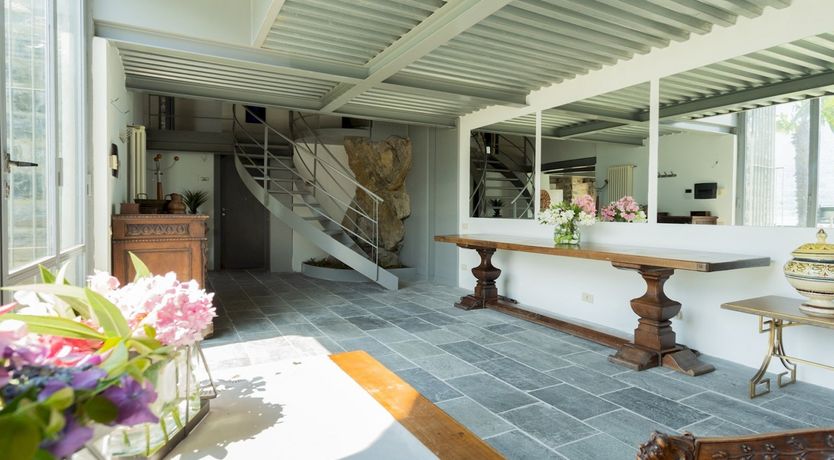 Photo of Wild Euphorbias