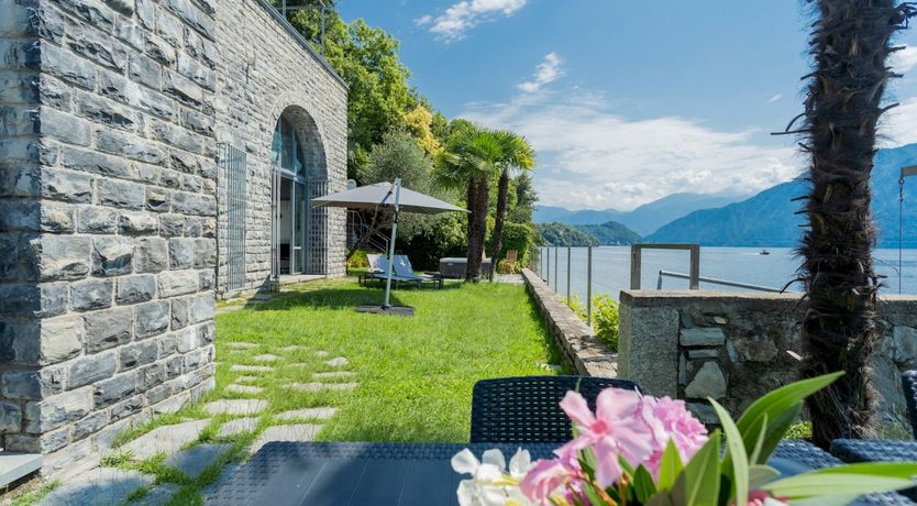 Photo of Wild Euphorbias