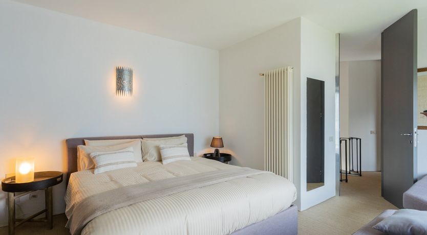 Photo of Wild Euphorbias