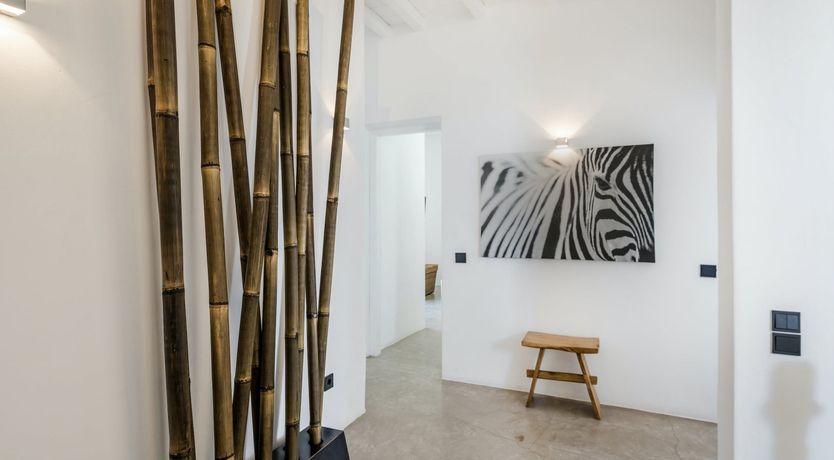 Photo of Zeus’ Kiss