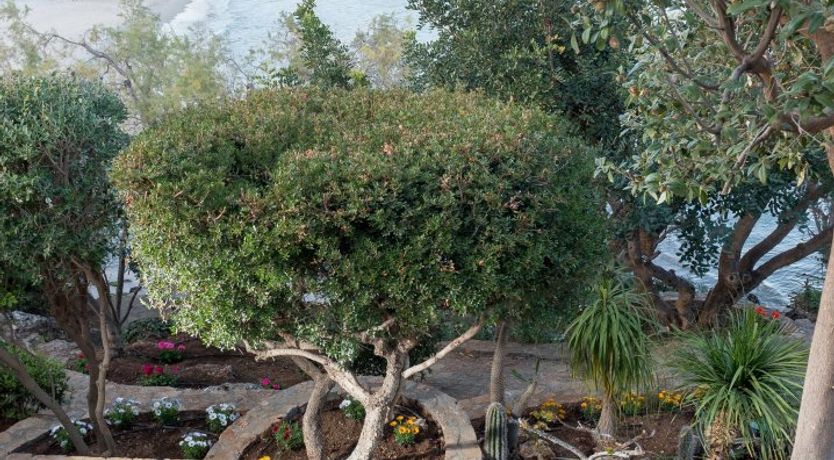 Photo of Barefoot Beachside