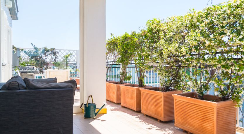 Photo of Lemons On The Terrace