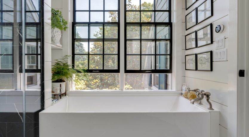 Photo of A Faithful Friend