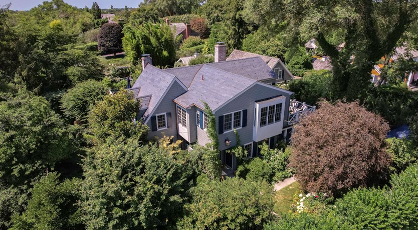 Photo of A Faithful Friend