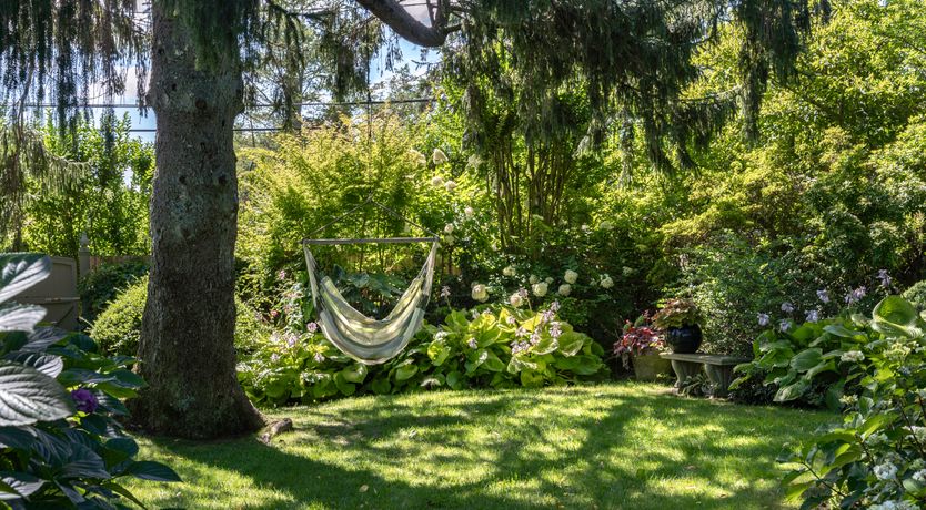 Photo of A Faithful Friend