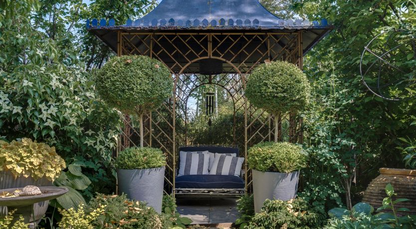 Photo of A Faithful Friend