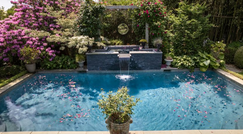 Photo of A Faithful Friend