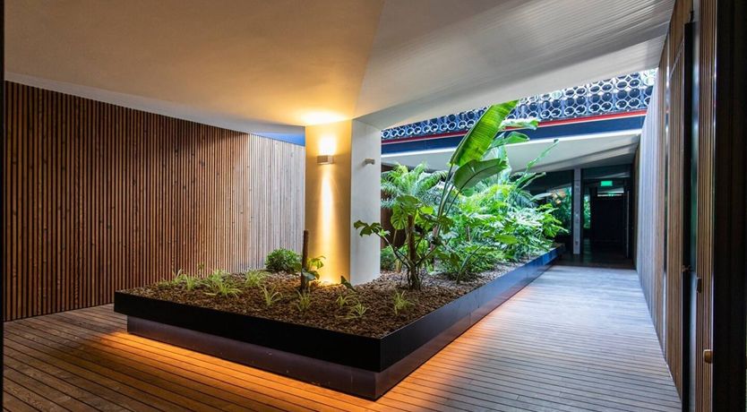 Photo of In The Summertime