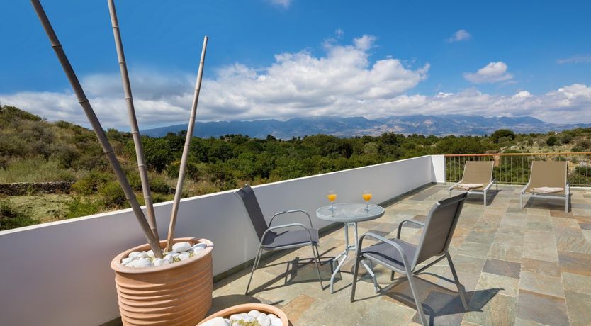 Photo of The Secret Olive Grove