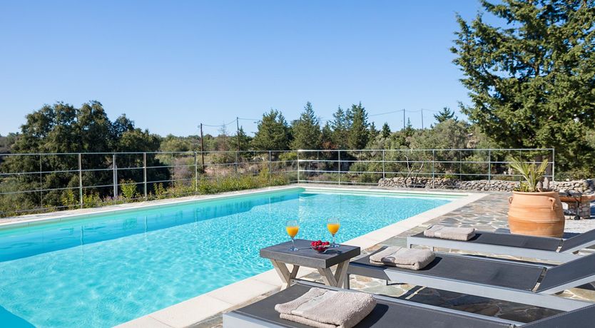 Photo of The Secret Olive Grove