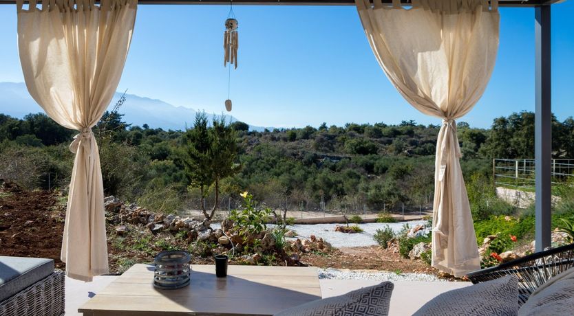 Photo of The Secret Olive Grove