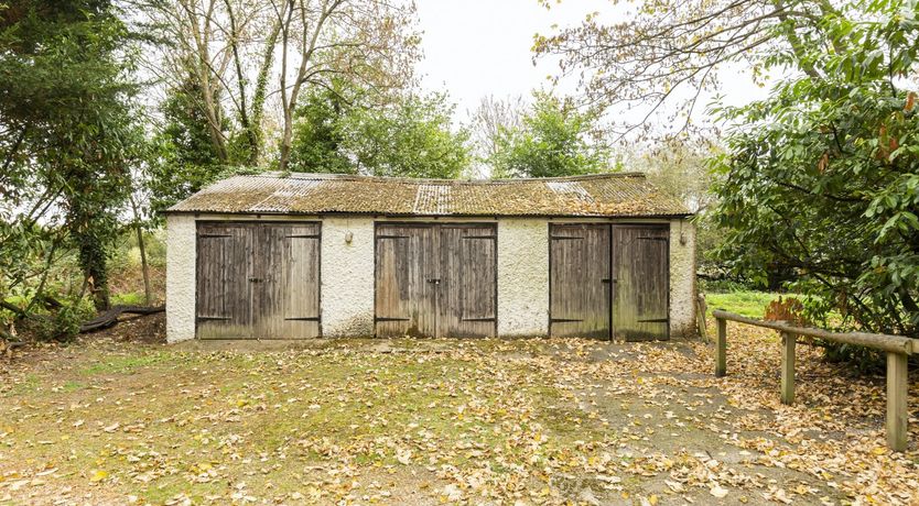 Photo of A Day at the Regatta