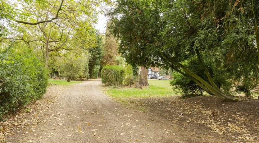 Photo of A Day at the Regatta