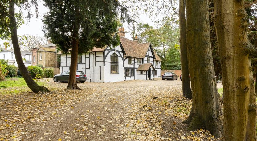 Photo of A Day at the Regatta