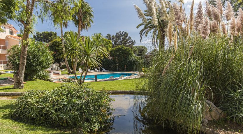 Photo of What A Dream