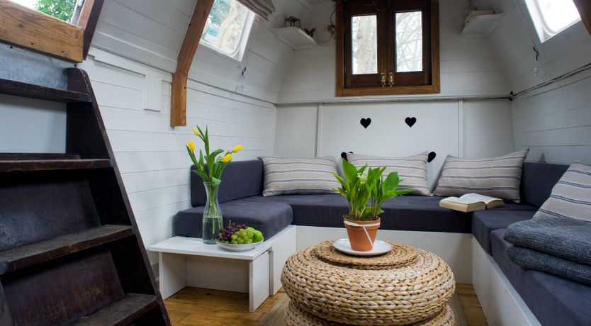 Photo of Velvet Morning