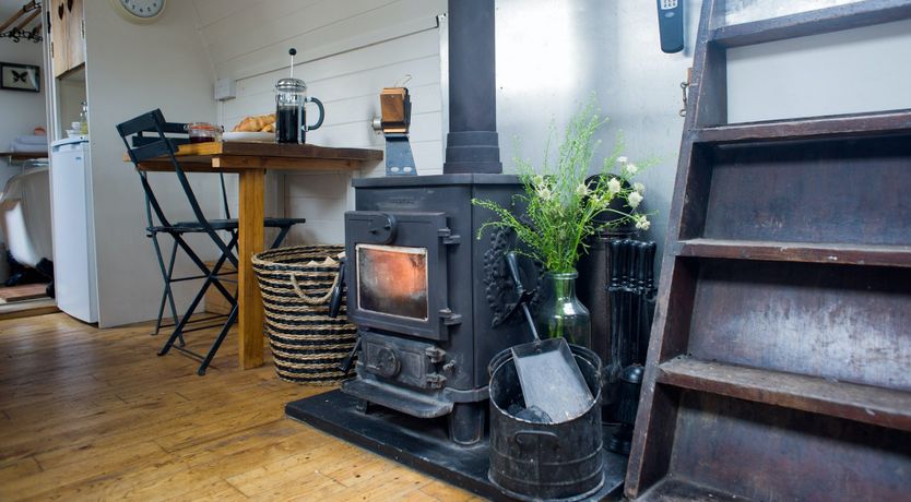 Photo of Velvet Morning