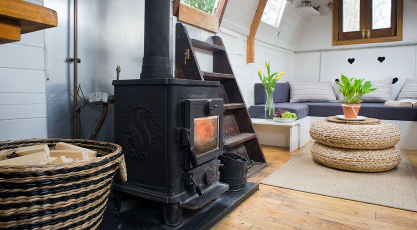 Photo of Velvet Morning