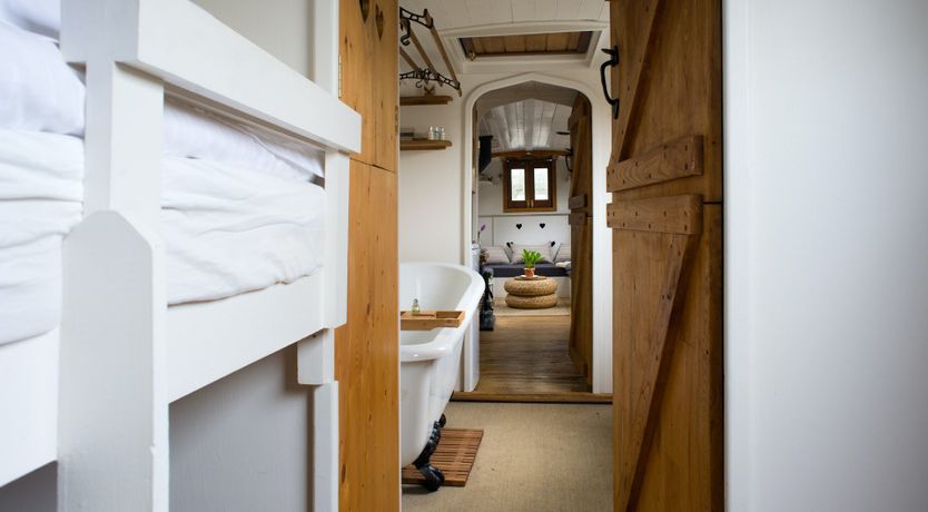 Photo of Velvet Morning