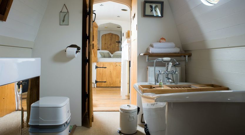 Photo of Velvet Morning