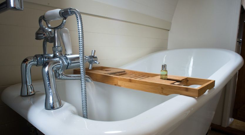 Photo of Velvet Morning