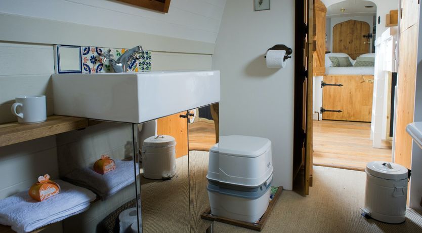 Photo of Velvet Morning