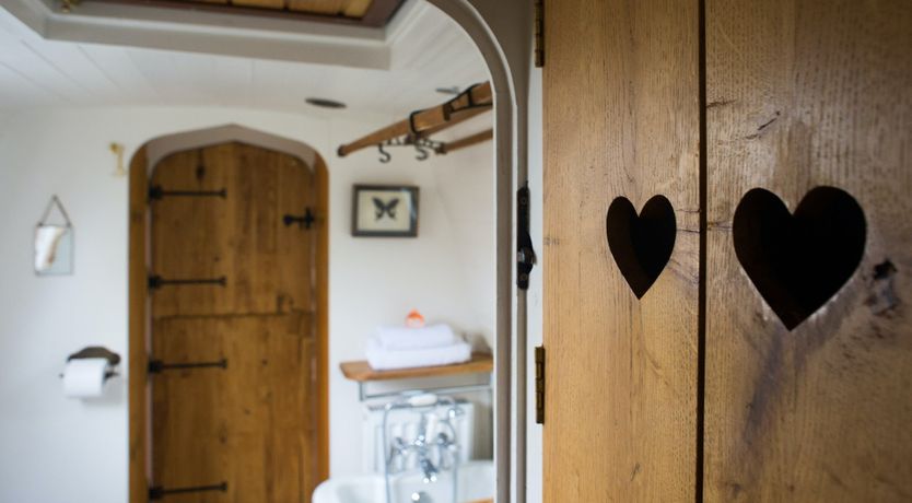 Photo of Velvet Morning