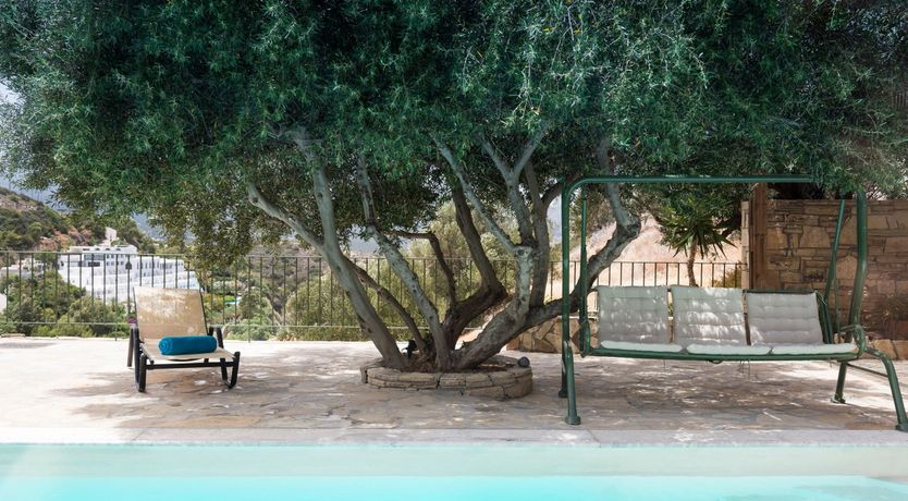 Photo of Blissful Sun